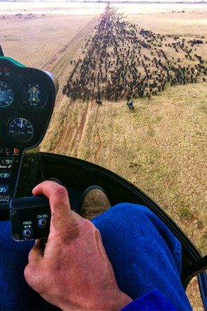 Compressed_Walking_the_mob